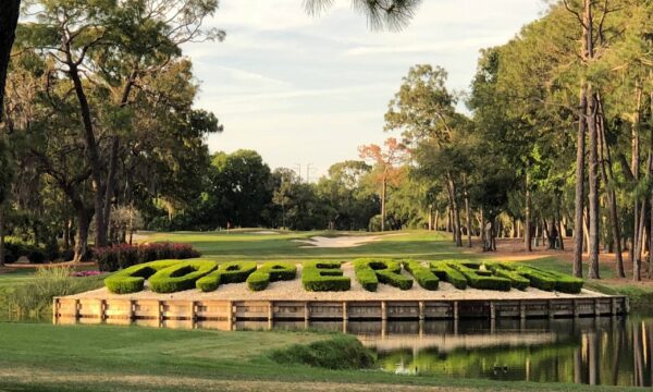 A bridge that has some bushes on it